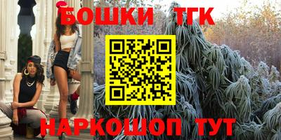 индика Будённовск