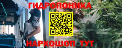 индика Будённовск