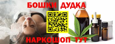 индика Будённовск