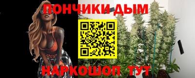 индика Будённовск