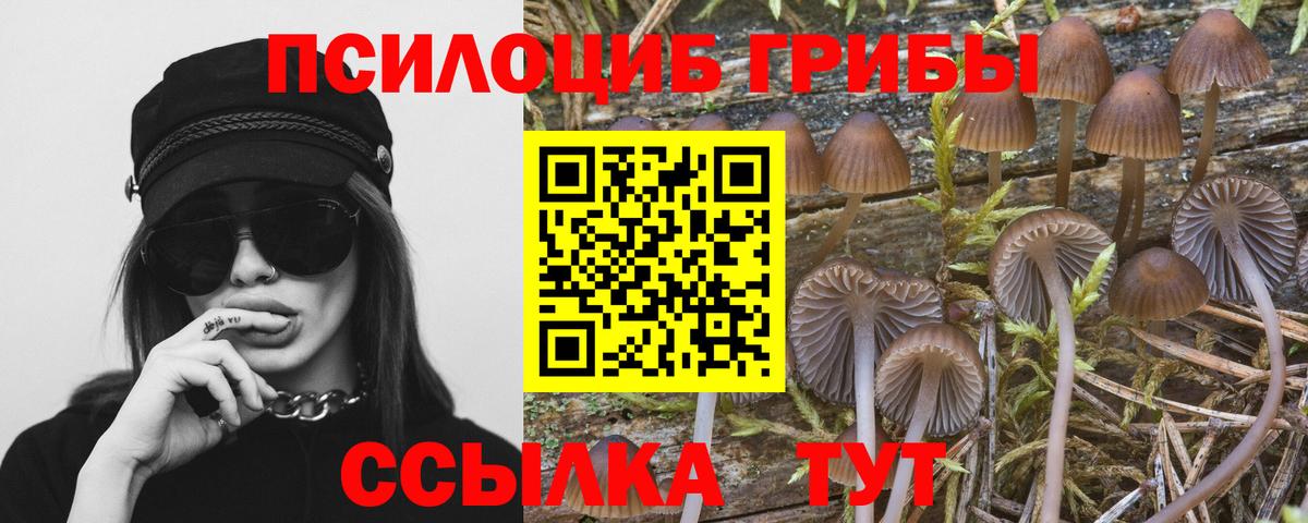 Псилоцибиновые грибы прущие грибы Североморск