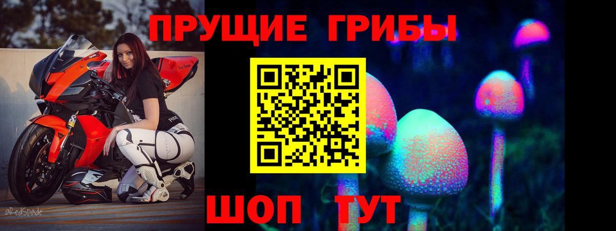 Галлюциногенные грибы Cubensis  Вход с VPN  Североморск 